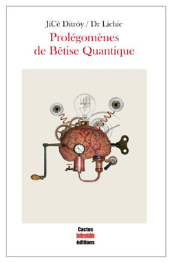 Prolégomènes de bêtise quantique