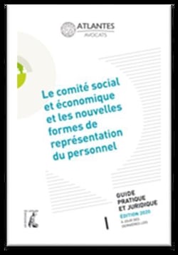 Le comité social et économique et les nouvelles formes de représentation du personnel - guide pratique et juridique (édition 2020)
