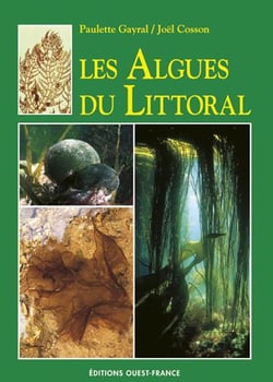 Les algues du littoral