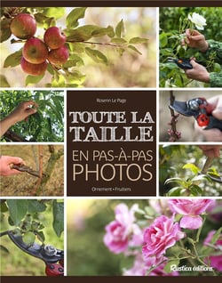 Toute la taille en pas à pas photos