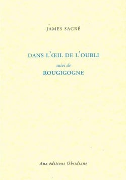 Dans l'oeil de l'oubli - rougigogne