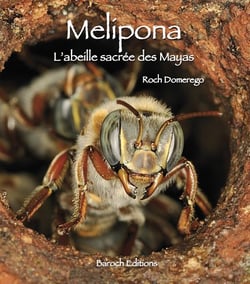 Melipona, l'abeille sacrée des Mayas