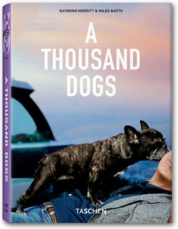A thousand dogs