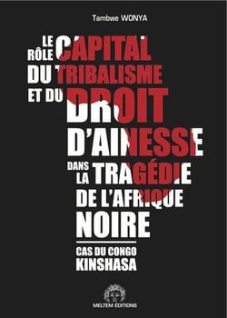 Le rôle capital du tribalisme et du droit d'aînesse dans la tragédie de l'Afrique noire - cas du Congo Kinshasa