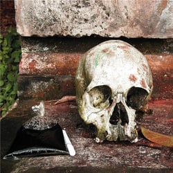 The Gamelan of the Walking Warriors : Gamelan Beleganjur and the Music of the Ngaben Funerary Ritual - édition deluxe