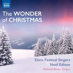 The wonder of christmas