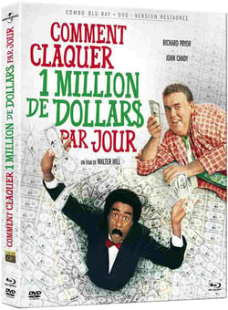 Comment claquer un million de dollars par jour