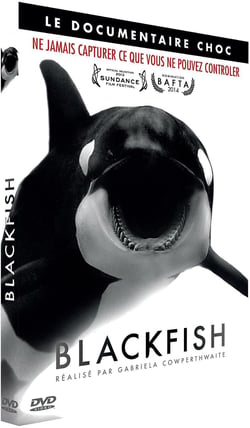 Blackfish