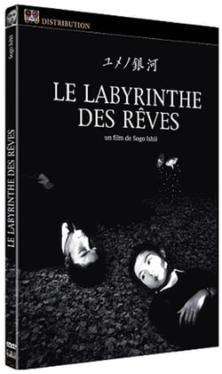 Le Labyrinthe des rêves