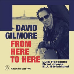 From here to here - David Gilmore