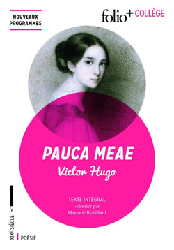 Pauca meae