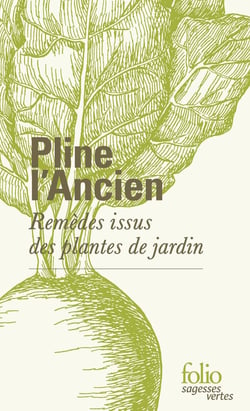 Remèdes issus des plantes de jardin