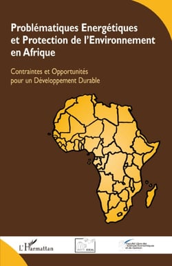 Problématiques énergetiques et protection de l'environnement en Afrique - contraintes et opportunités pour un développement durable
