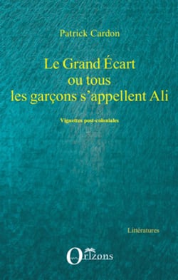 Le grand écart ou tous les garçons s'appellent Ali - vignettes post coloniales