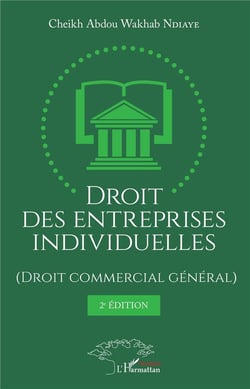 Droit des entreprises individuelles (Droit commercial général) 2ème édition