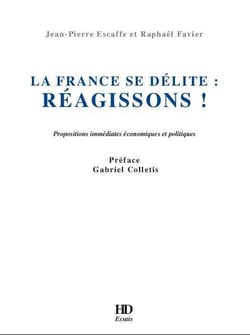La France se délite : réagissons ! propositions immédiates économiques et politiques
