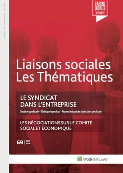 Le syndicat dans l'entreprise - section syndicale - délégué syndical (2e édition)