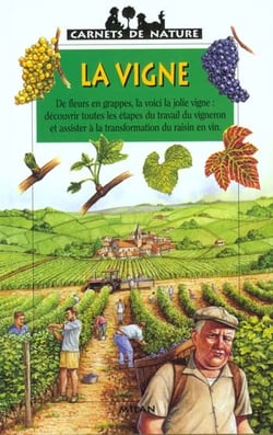 La vigne