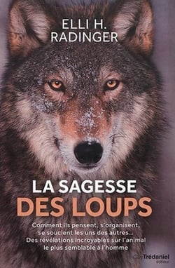 La sagesse des loups - comment ils pensent, s'organisent, se soucient des autres... des révélations incroyables sur l'animal le plus semblable à l'homme