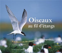 Oiseaux au fil d'étangs - à la découverte des oiseaux du littoral languedocien