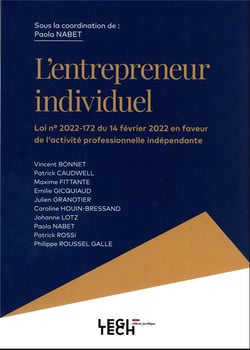 L'entrepreneur individuel : Loi n° 2022-172 du 14 février 2022 en faveur de l'activité professionnelle indépendante