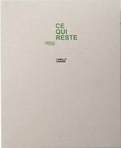 Ce qui reste, ceux qui restent