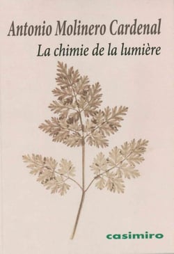 La chimie de la lumière ou la naissance du photogramme
