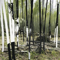 The green tiger's alibi