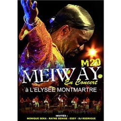 M20 en concert a l'elysée montmartre