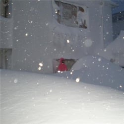 They Only Talk About The Weather - édition colorée