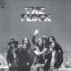 Flock - édition limitée colorée