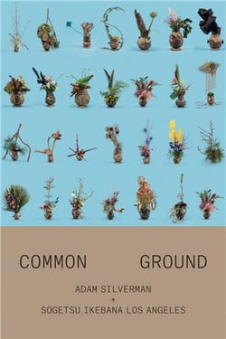 Adam Silverman : common ground