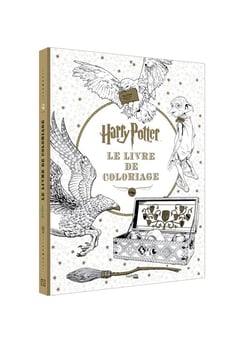 Harry Potter - le livre de coloriages : Collectif - 2012036961