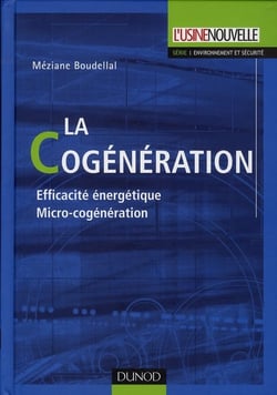 La cogénération - efficacité énergétique, micro-cogénération