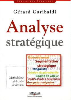 Analyse stratégique - environnement - segmentation, stratégie, diagnostic - gestion du portefeuille