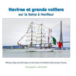 Navires et grands voiliers sur la seine à honfleur - military ships and tall ships on the seine in honfleur (normandy, france)
