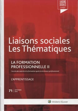 Liaisons sociales - Les thématiques : la formation professionnelle II (2e édition)