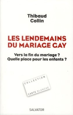 Les lendemains du mariage gay