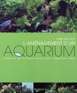 L'aménagement d'un aquarium