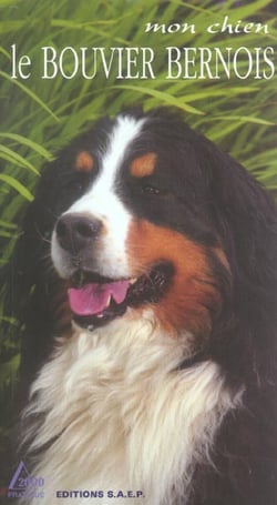 Mon chien le bouvier bernois