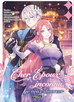 Cher époux inconnu, je veux divorcer Tome 3