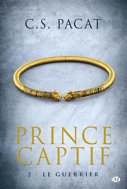 Prince captif Tome 2