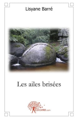 Les ailes brisées