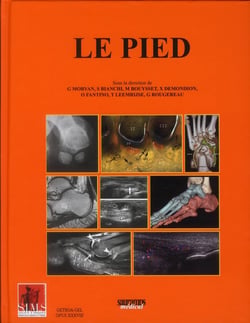 Le pied