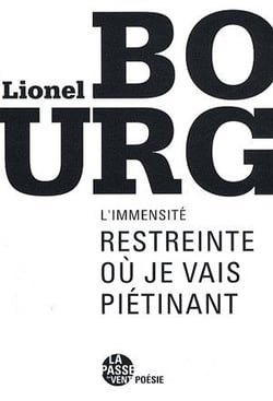 L'immensité restreinte où je vais piétinant