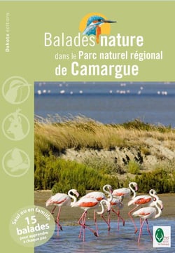 Balades Nature Dans Le Parc Naturel régional De Camargue 2013