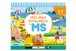 Mes jeux effaçables de MS