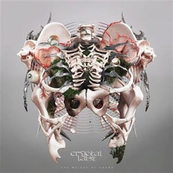 The Weight of Sound - édition limitée