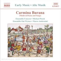 Carmina burina