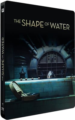 La Forme de l'eau